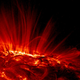 Illustration for article titled Astronomers once thought there was life on the sun